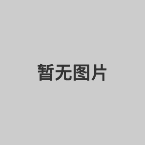 总裁黑王（中）